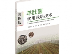 《彩圖版羊肚菌實(shí)用栽培技術(shù)》新書面世  即將上架易菇商城 ()