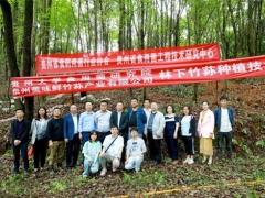 專家助力，貴陽市順海林場岔二巖林下紅托竹蓀種植基地成功開展種植技術(shù)培訓(xùn)會(huì) ()