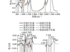 基于支持向量機(jī)對(duì)云南常見野生食用牛肝菌中紅外光譜的種類鑒別 ()