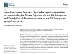 吉林農(nóng)業(yè)大學(xué)圖力古爾教授團(tuán)隊(duì)發(fā)表真菌新科 ()