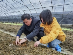 大球蓋菇（紅松茸）產(chǎn)業(yè)分會(huì)會(huì)長(zhǎng)、華中農(nóng)業(yè)大學(xué)邊銀丙教授前往武漢蔡甸大球蓋菇基地考察