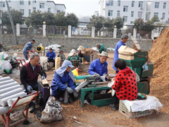 河南南陽(yáng)：小香菇種出大希望 ()