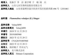 2023年第四批授予植物新品種權(quán)公告，含香菇、金針菇、平菇的6個品種 ()