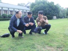 中國菌物學(xué)會理事長郭良棟一行深入井岡山農(nóng)業(yè)科技園調(diào)研 (4)